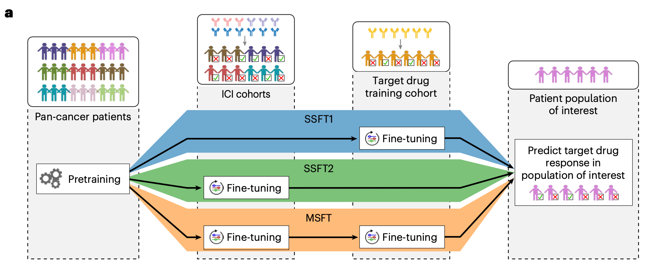 Figure 4 multi-stage fine-tuning strategy for COMPASS