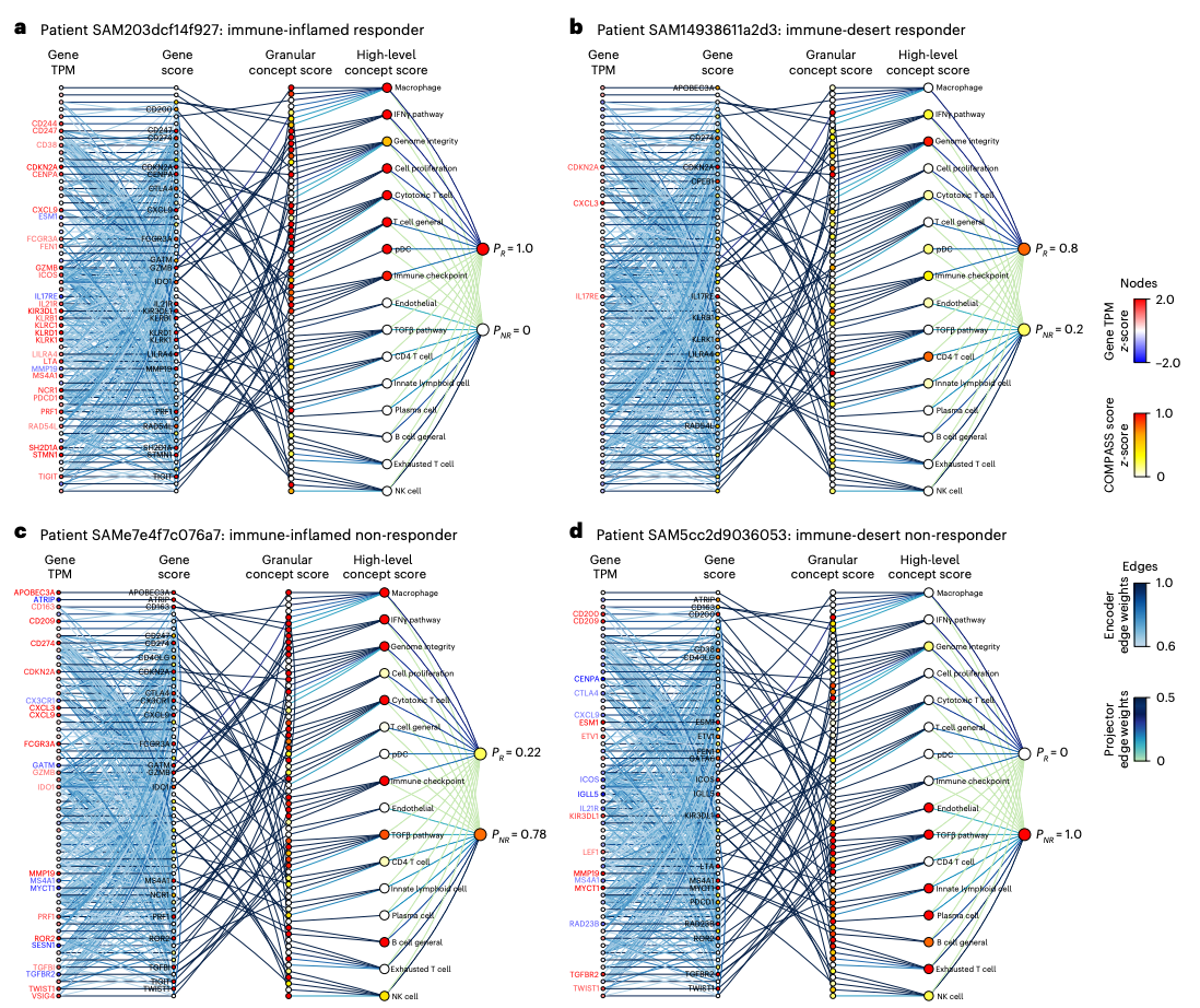 Figure 6 personalized response maps for individual COMPASS predictions