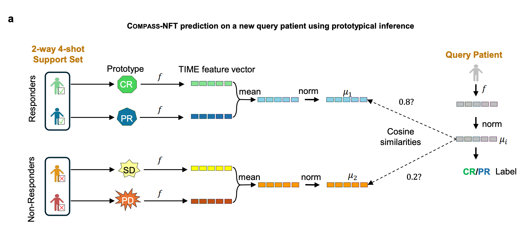 Supplementary Figure S1 COMPASS-NFT prototypical inference